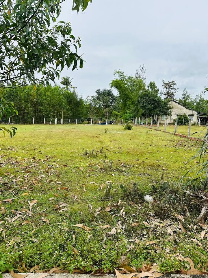 Đất nền Tam Phú, Tam Kỳ 180m² giá rẻ - Cơ hội đầu tư hiếm có!