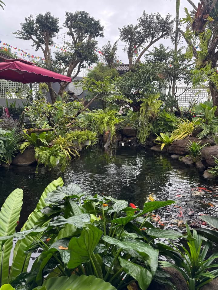 Đất nền Ea Kao Buôn Ma Thuột 390m² giá 799 triệu - Cơ hội vàng cho nhà vườn!