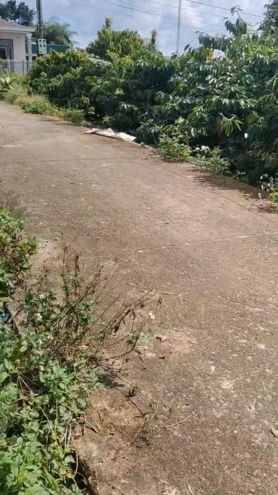 Đất nền Hòa Thành, Krông Bông 200m² giá 450 triệu - Cơ hội đầu tư tuyệt vời!