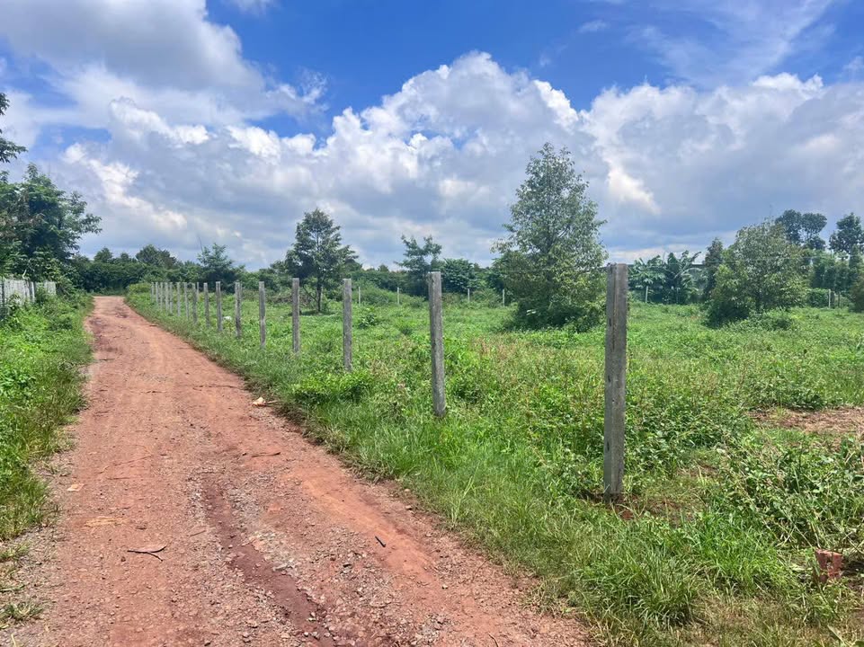 Đất nền Quảng Phú, Cư M'gar 150m² giá 300 triệu - Đầu tư sinh lời ngay!