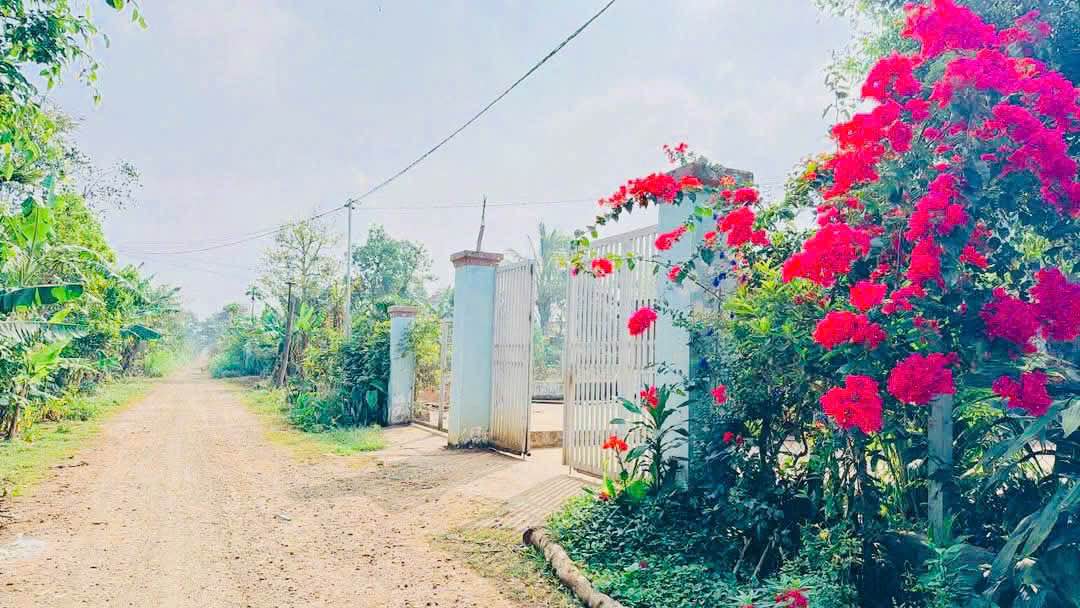 Đất nền Cuôr Đăng Cư M'gar 142.5m² giá 550 triệu - Đầu tư tiềm năng