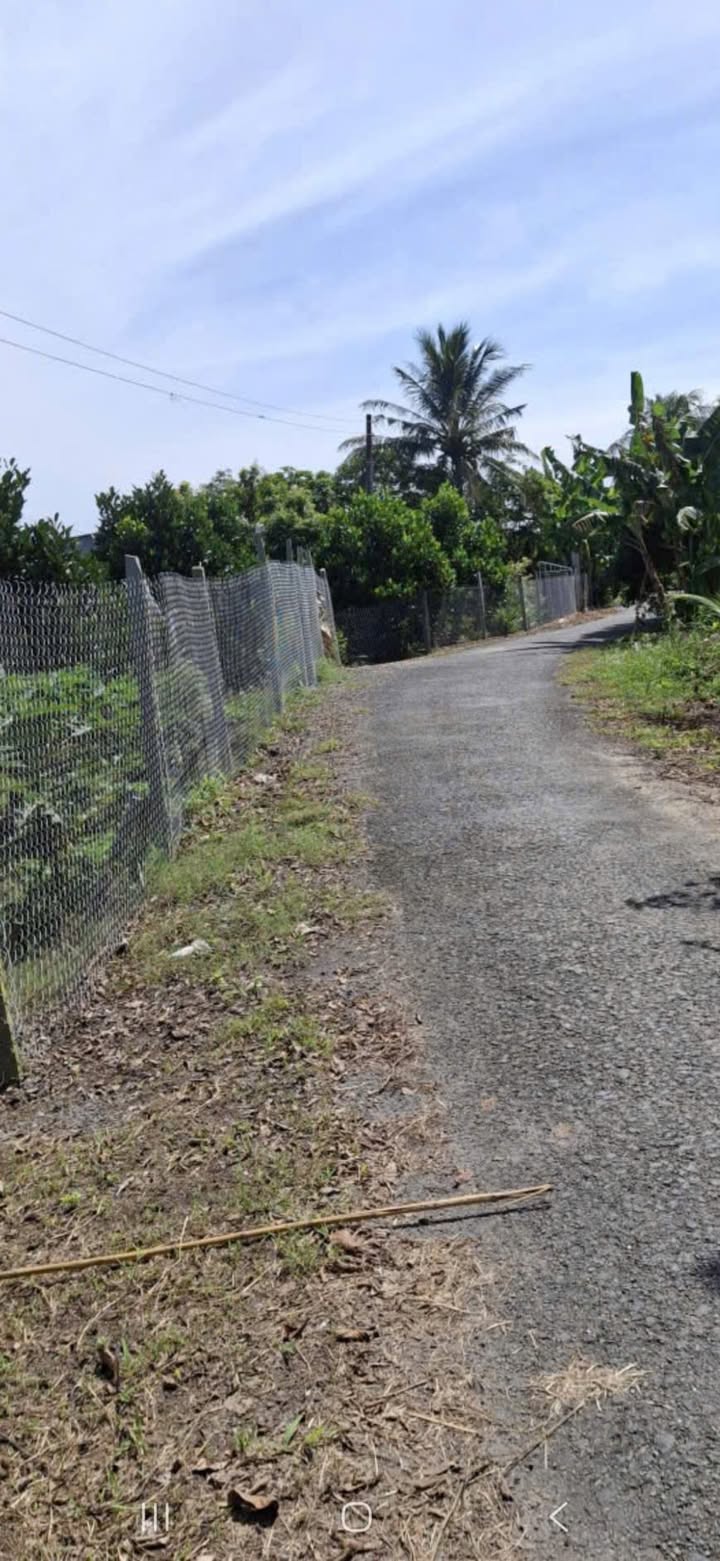 Đất trồng mít ruột đỏ 3059m² giá 1.7 tỷ - Đầu tư sinh lời ngay!