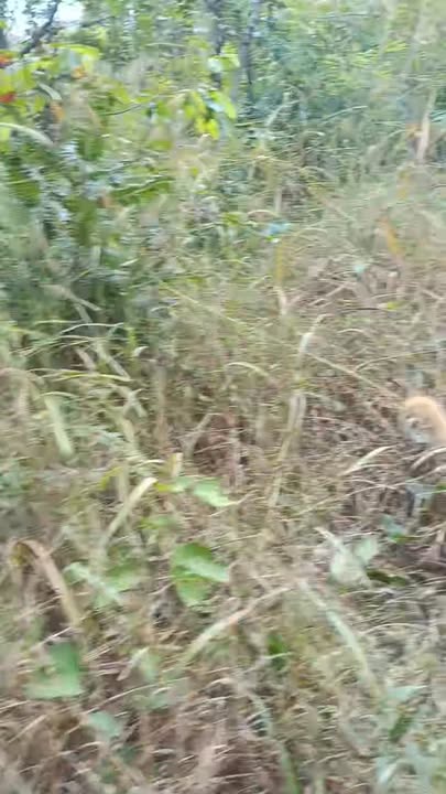 Đất nền thổ cư 8ha tại Thôn 2B, xã Eah'leo, Đắk Lắk - Giá chỉ 439 triệu!