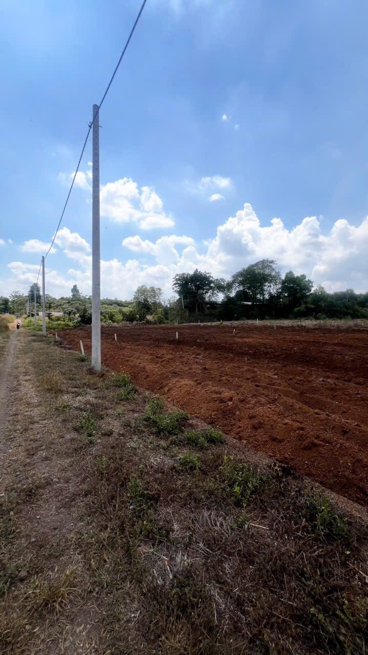 Đất nền 1178m² tại xã Hưng Thịnh, Trảng Bom - Giá chỉ 900 triệu, đầu tư sinh lời!