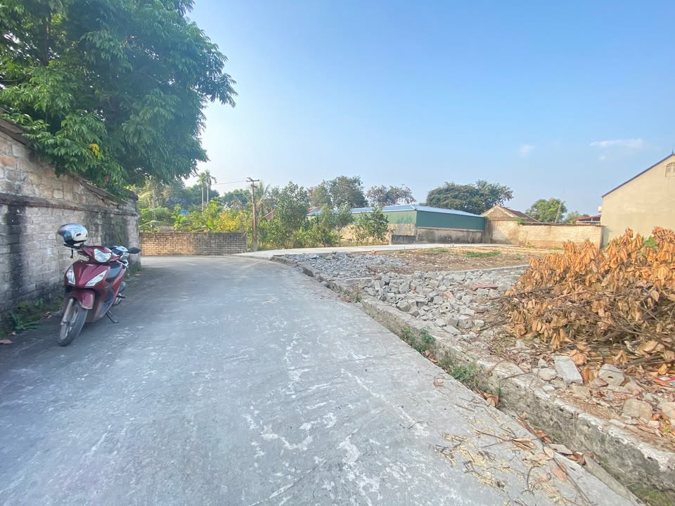 Đất nền 100m² tại Tổ dân phố Tân - Giá chỉ vài trăm triệu - Đầu tư sinh lời ngay!