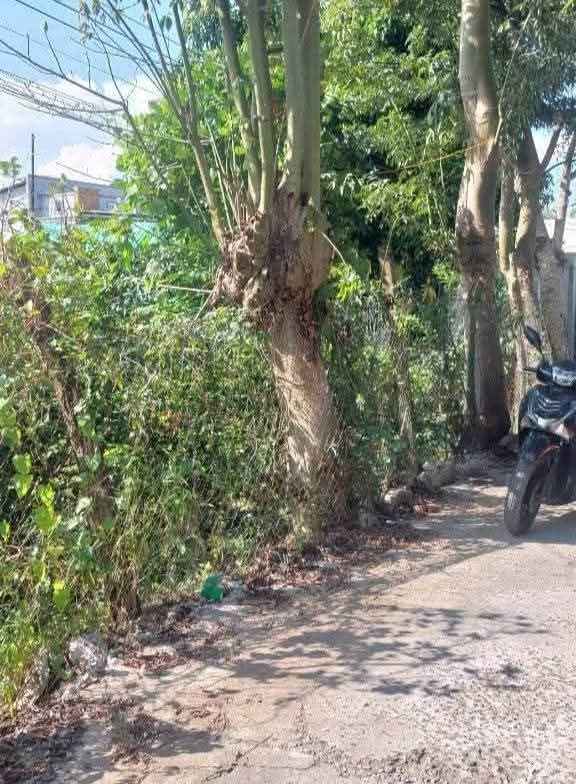 Đất mặt tiền Rạch Mù U, Cái Răng, 2141m² chỉ 2.6 tỷ - Đầu tư sinh lời ngay!