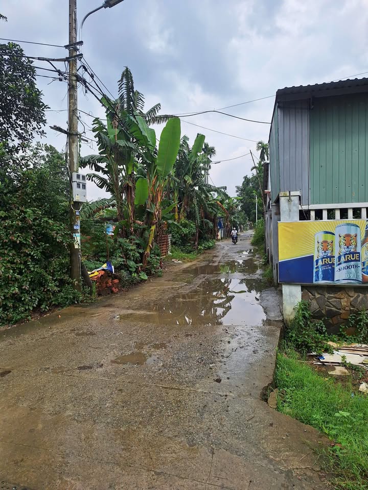 Đất xây nhà vườn 326m² thôn An Tân, Đà Nẵng giá 1.8 tỷ - Đầu tư sinh lời ngay!