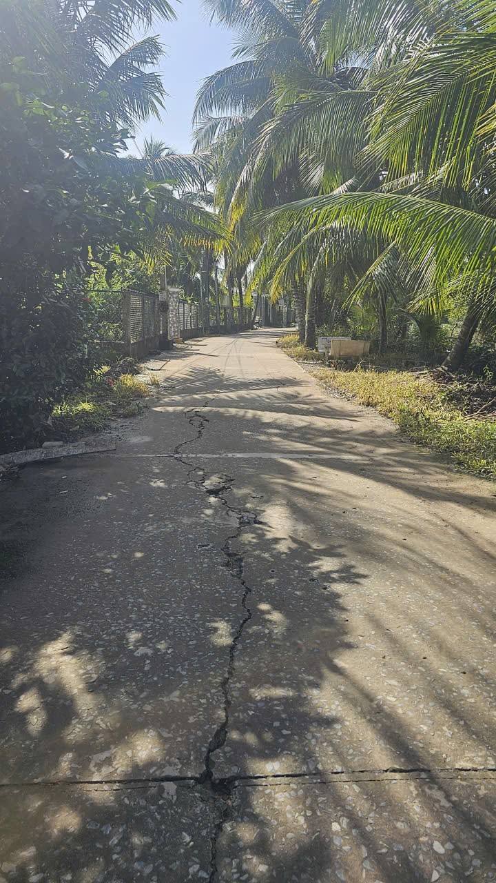 Đất nền đẹp tại Long Tuyền, Bình Thủy 115.7m² giá chỉ 990 triệu - Sổ hồng chính chủ!