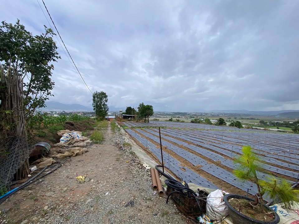 Đất nền 3700m² tại xã Ka Đơn, Đơn Dương - Giá 2 tỷ, sẵn sàng canh tác!