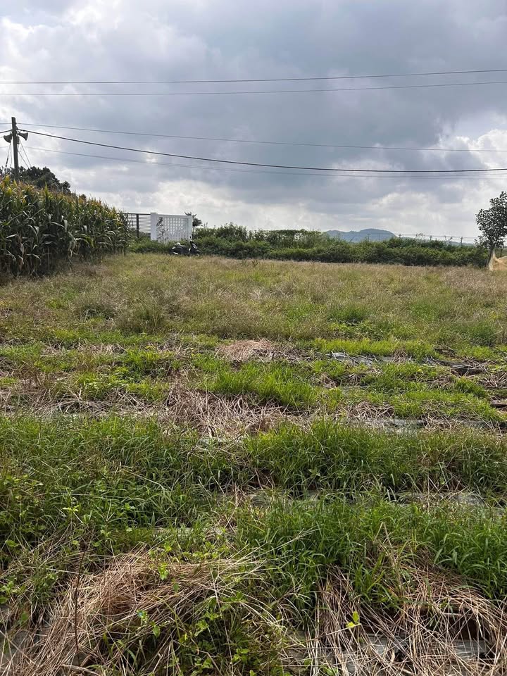 Đất nền Tân Hội, Đức Trọng 200m² giá 610 triệu - Cơ hội đầu tư tuyệt vời!