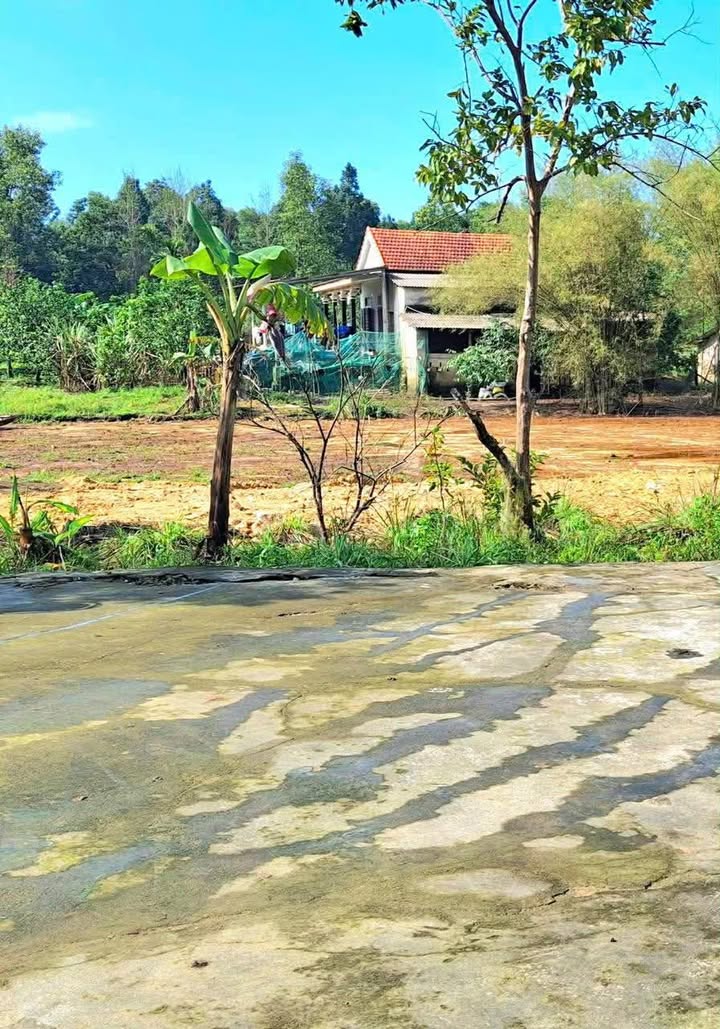 Đất thổ cư Tứ Hạ Hương Trà 100m² giá thỏa thuận - Vị trí cao ráo, không ngập lụt!