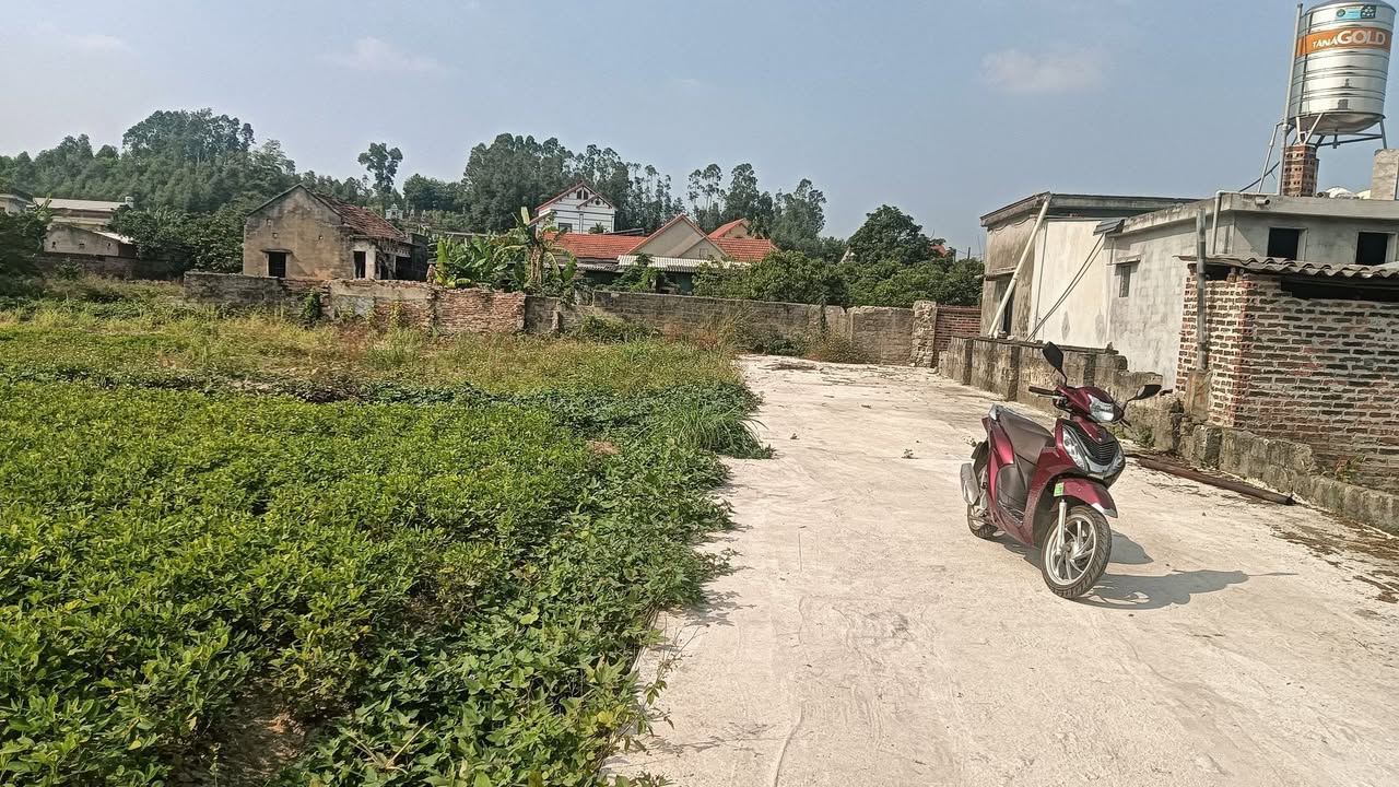 Đất nền khu 7 Nguyên Huệ Đông Triều 200m² giá 700 triệu - Cơ hội đầu tư hấp dẫn!