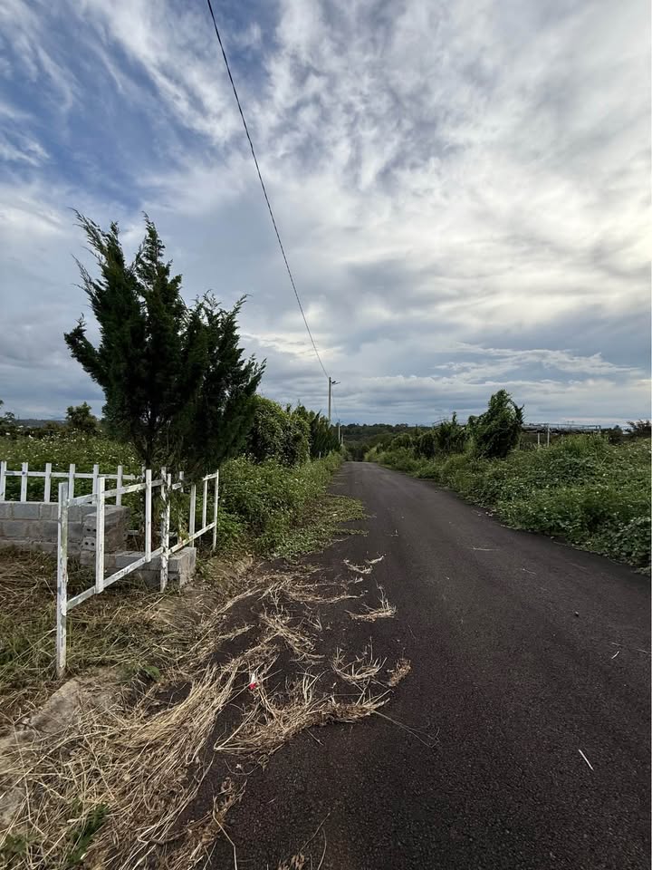 Đất nền Lộc An - Bảo Lâm 135m² giá chỉ 439 triệu - Cơ hội đầu tư hấp dẫn!