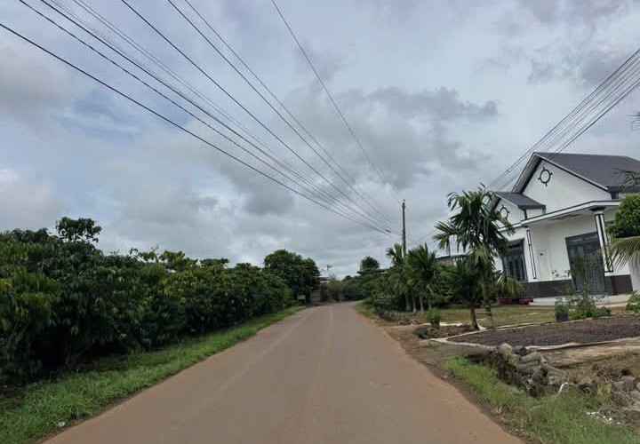 Đất nền mặt tiền đường Mạc Thị Bưởi, Bảo Lộc 3000m² giá 15 tỷ - Đầu tư sinh lời ngay!