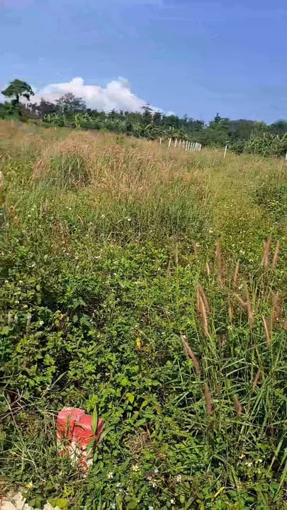 Đất nền Quảng Thành Châu Đức 200m² giá 370 triệu - Sổ đỏ chính chủ, pháp lý rõ ràng!