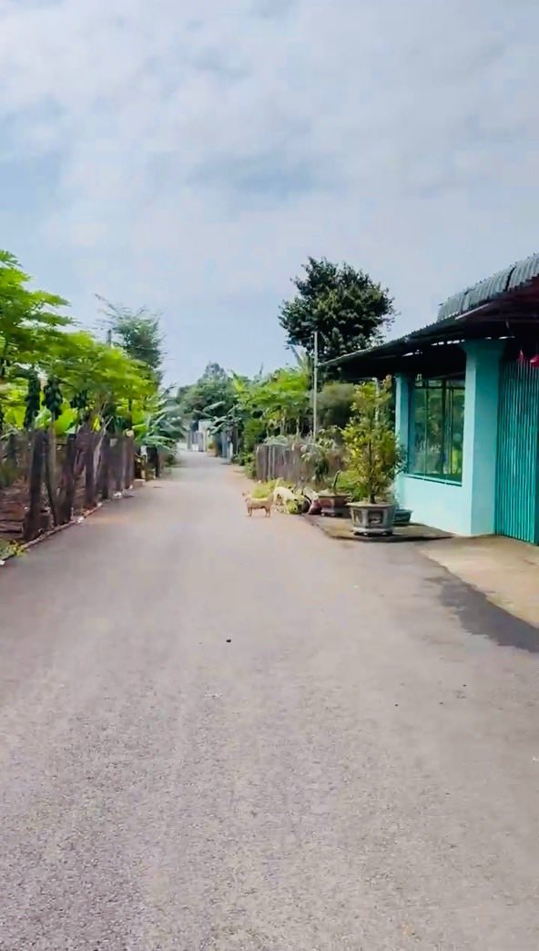 Nhà đẹp Đường 16, Hòa Long, 317m² giá 2.5 tỷ - Đầu tư sinh lời ngay!