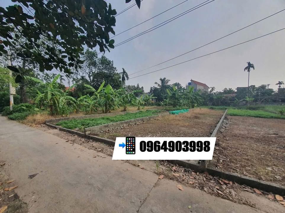 Đất nền Tri Thủy, Phú Xuyên 91,2m² - Giá tốt, tiềm năng đầu tư!