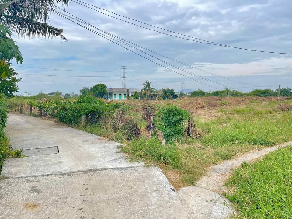 Đất nền 1 sào Hàm Thắng, Bình Thuận 3600m² giá 900 triệu - Vị trí đẹp, giao thông thuận lợi!