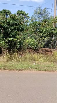 Đất nền 1 sào Phúc Thọ - 360m² giá 2.7 tỷ - Mặt tiền đường nhựa 20m