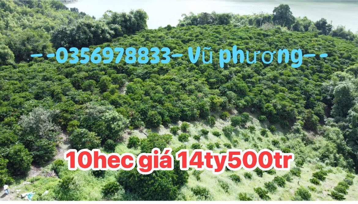 Farm 10ha tại Krông Nô, Đắk Lắk giá 14.5 tỷ - Đầu tư tiềm năng!