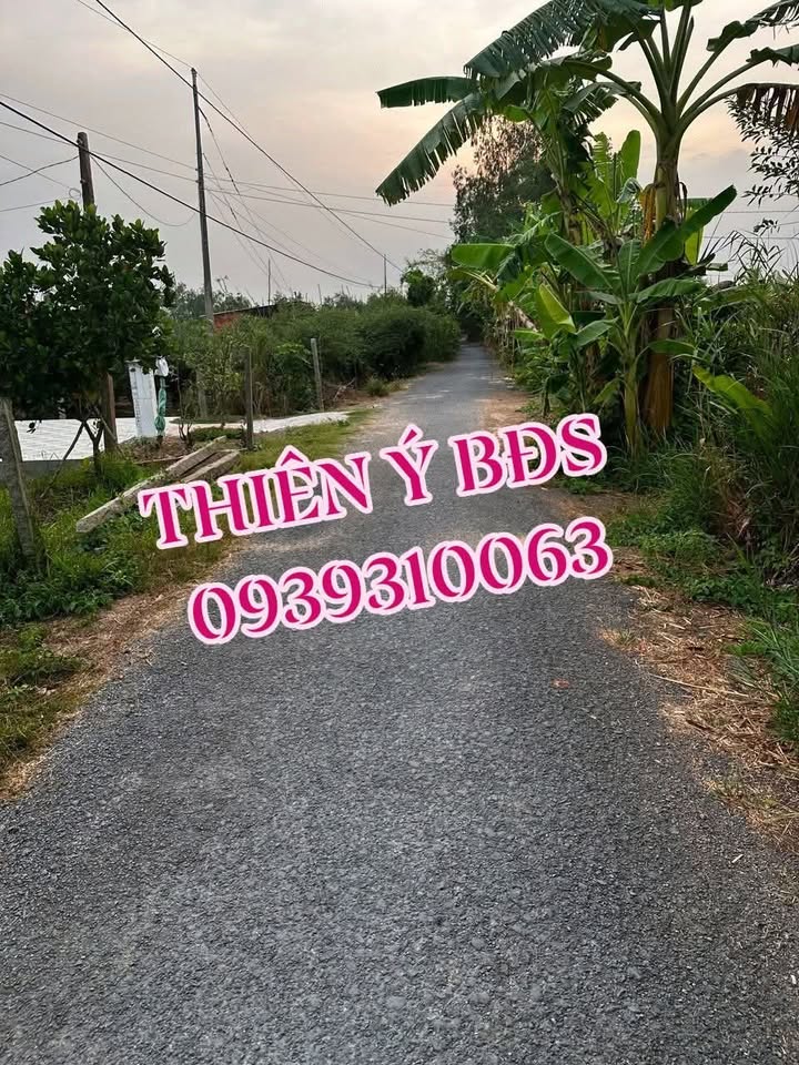 Đất nền Tân Hòa, Châu Thành, Đồng Tháp 350m² giá 380 triệu - Sổ hồng chính chủ!