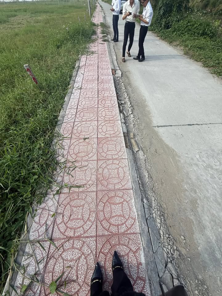 Đất nền Thạnh Lộc 200m² giá chỉ 650 triệu - Tiềm năng tăng giá mạnh!