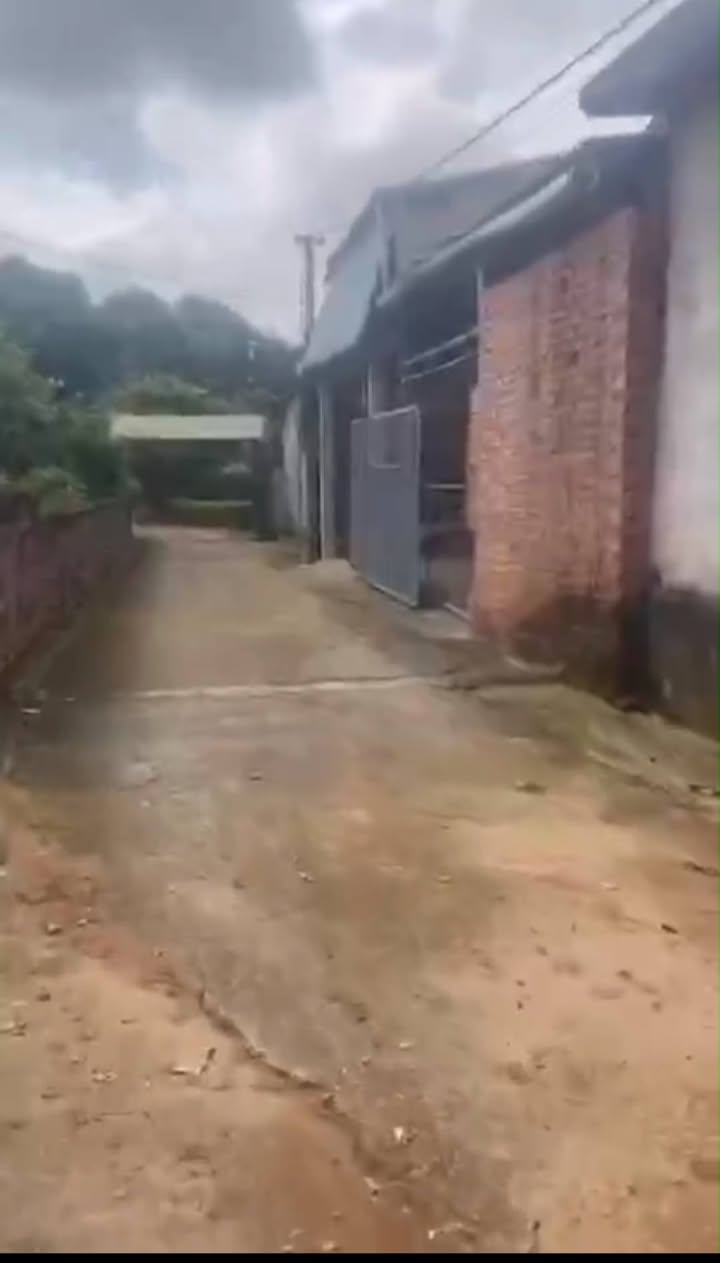 Đất thổ cư 200m² tại Thanh Đình - Tặng nhà 2 tầng, chính chủ bán gấp!