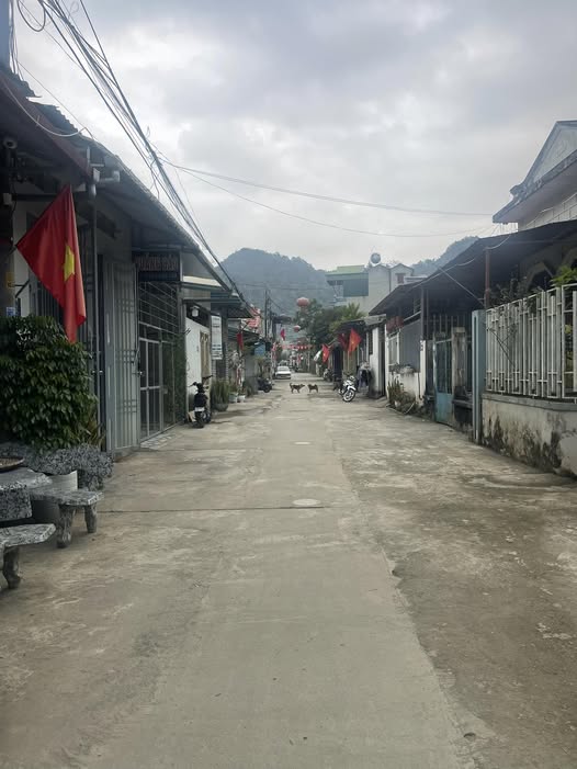 Nhà cấp 4 Phường Quyết Thắng, TP. Sơn La diện tích 82m² - Giá chỉ 700 triệu!