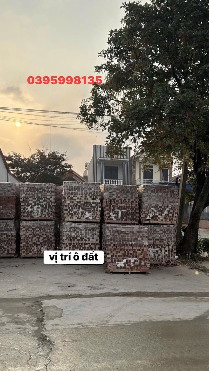 Đất nền khu phố 12, xã Đồng Trung, 211m² - Vị trí đắc địa, dân cư đông đúc!