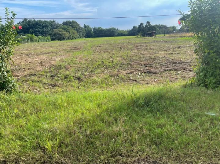 Đất nền Hưng Thịnh 5000m² giá thỏa thuận - Cơ hội đầu tư vàng!