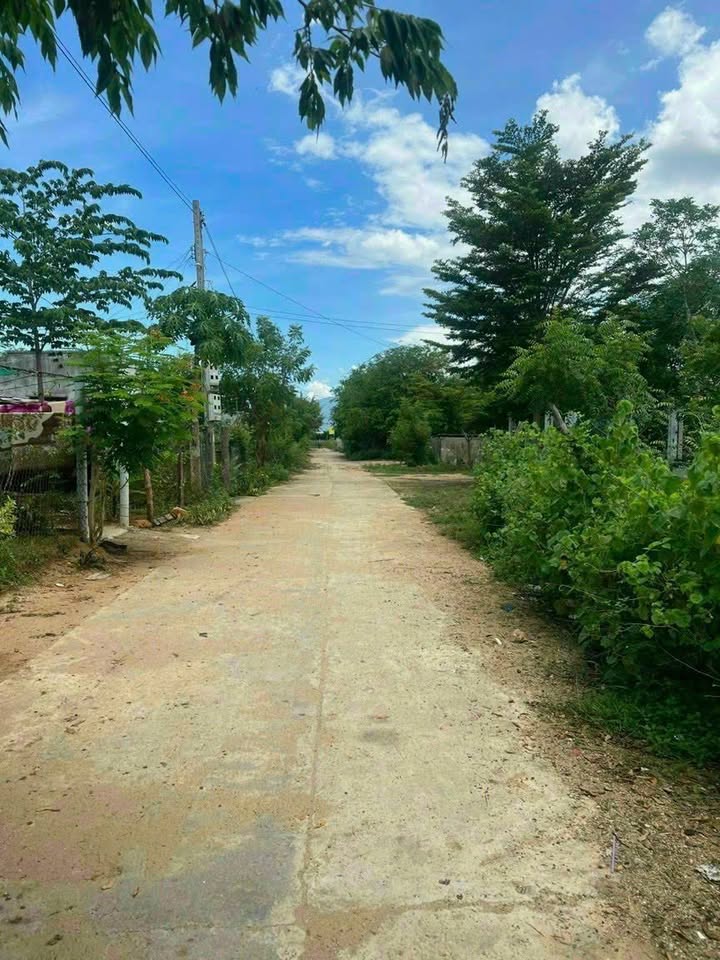 Bán lô đất thổ cư Ninh Sơn - Ninh Thuận 200m² giá chỉ 330 triệu - Cơ hội đầu tư hấp dẫn!