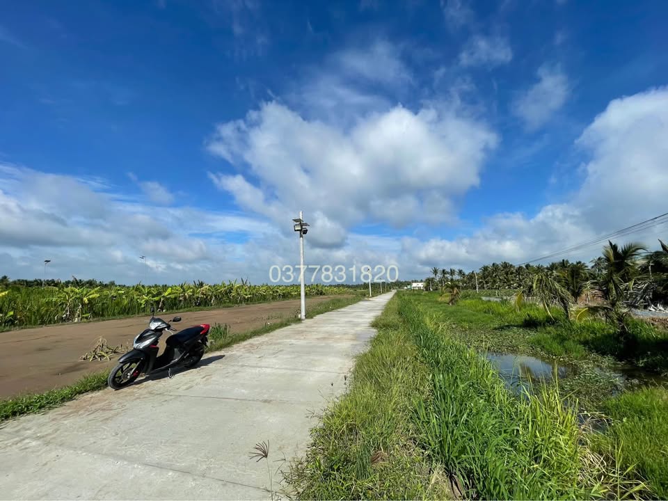 Đất mặt tiền Nguyễn Đáng, Càng Long 101m² giá 335 triệu - Cơ hội đầu tư tuyệt vời!