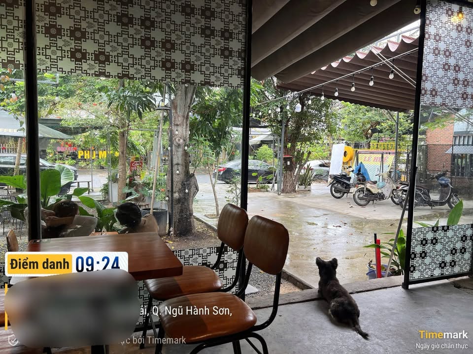 Quán Cafe cho thuê tại Trần Đại Nghĩa, Ngũ Hành Sơn 450m² - Hoạt động ngay!