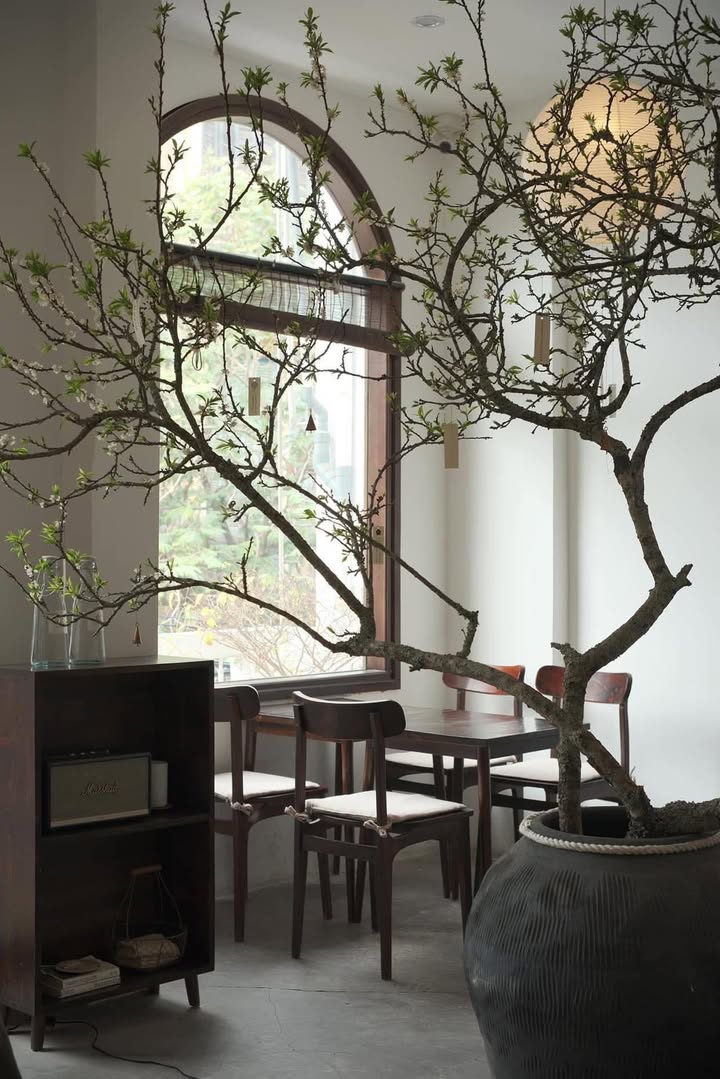 Cho thuê mặt bằng 200m² tại khu du lịch An Thượng - Giá chỉ 32 triệu/tháng!