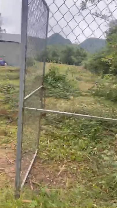 Đất farm 7000m² tại khu Hóa Chất Mỏ, Tam Điệp chỉ 1 tỷ - Cơ hội đầu tư tuyệt vời!