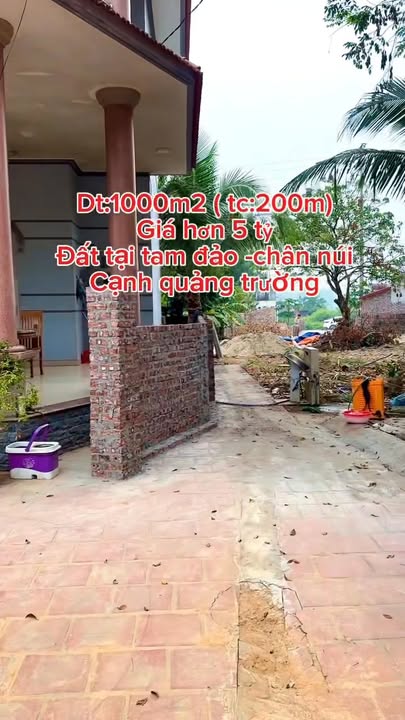 Đất nghỉ dưỡng Hợp Châu Tam Đảo 533m² giá 5.368 tỷ - Cơ hội đầu tư hiếm có!