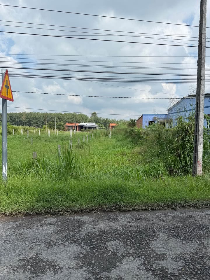 Đất thổ cư Gò Dầu Tây Ninh 115m² giá 600 triệu - Đầu tư sinh lời nhanh chóng!