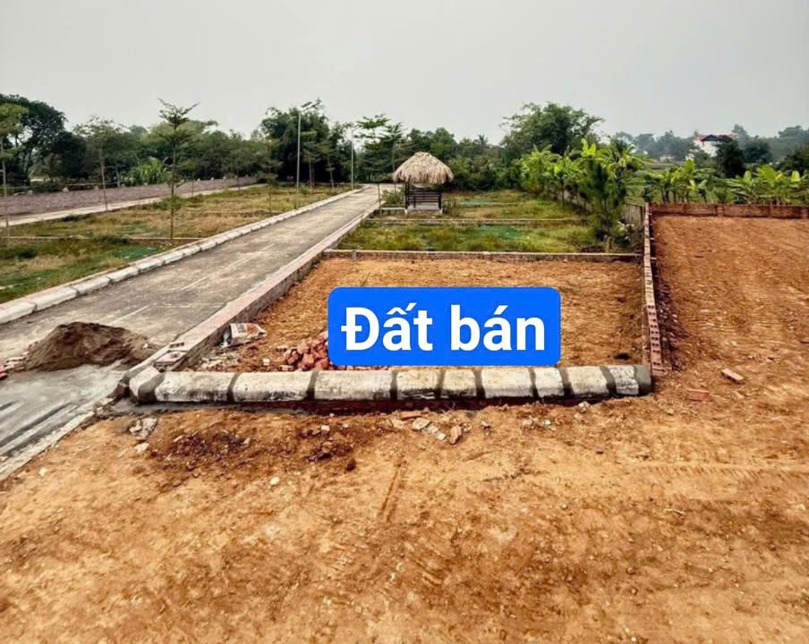 Đất thổ cư Kim Anh, Sóc Sơn 71m² giá 1.6 tỷ - Ngõ thông ô tô, tiện ích đầy đủ!