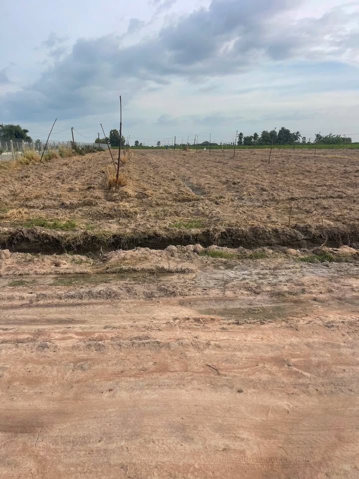 Đất nền Suối Đá Dương Minh Châu 1000m² giá 300 triệu - Đầu tư sinh lời ngay!