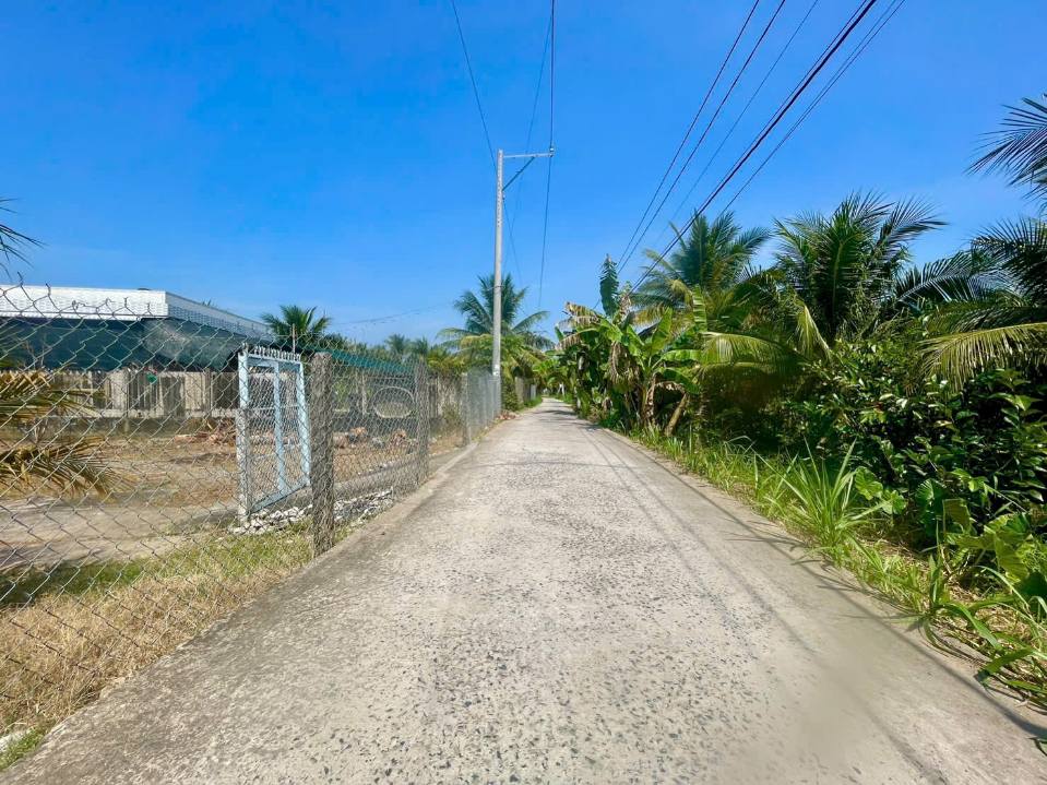 Đất mặt tiền đường Bà 4 Gạo, xã Phước Thạnh, 500m² - Đất cao ráo, giá tốt!