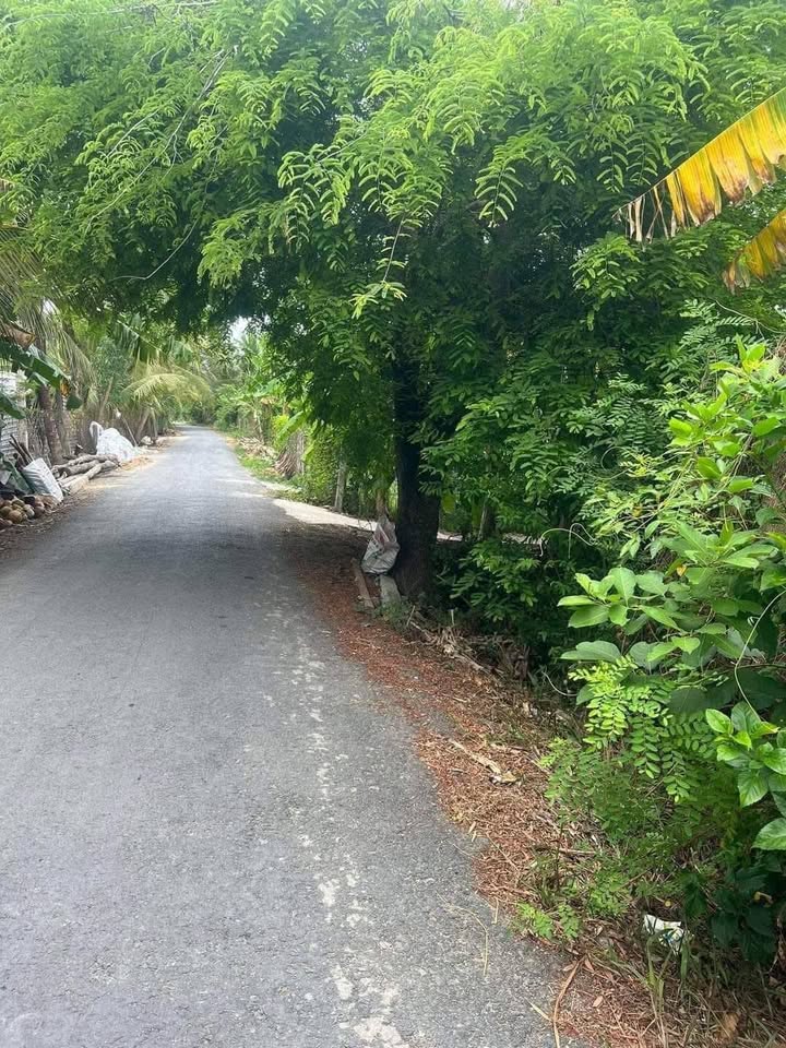 Đất mặt tiền 600m² Vĩnh Kim, Châu Thành giá 1.25 tỷ - Cơ hội đầu tư tuyệt vời!