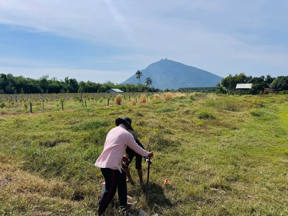 Đất nền Suối Đá Dương Minh Châu 160m² giá 349 triệu - Đầu tư lý tưởng cho gia đình!