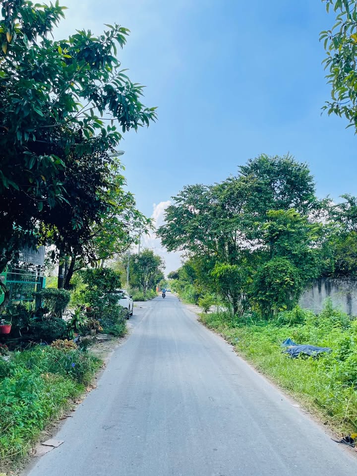 Đất nền Tân Thông Hội, Củ Chi 91m² giá chỉ 1.85 tỷ - Xây dựng tự do!