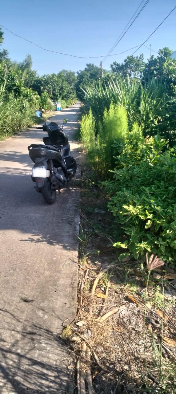 Đất nền 200m² tại Tân Thành, Tân Thạnh chỉ 450 triệu - Sổ hồng đầy đủ!