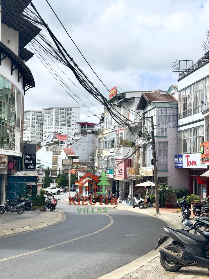 Đất 2 mặt tiền Nguyễn Chí Thanh Đà Lạt 115m² giá 35 tỷ - Kinh doanh đa ngành nghề!