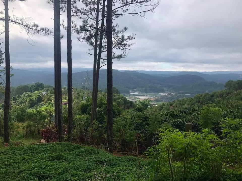 Nhà cấp 4 hẻm Chi Lăng, phường 9 Đà Lạt, 87m² giá 5.75 tỷ - Đầu tư sinh lời!