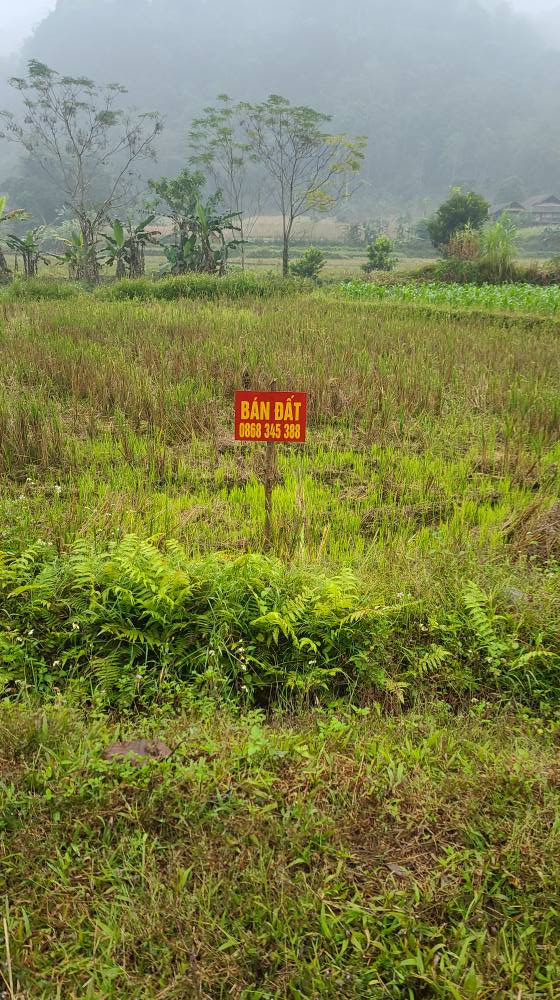 Đất nền Tùng Bá, Vị Xuyên 600m² - Mặt đường rộng, vị trí đẹp!