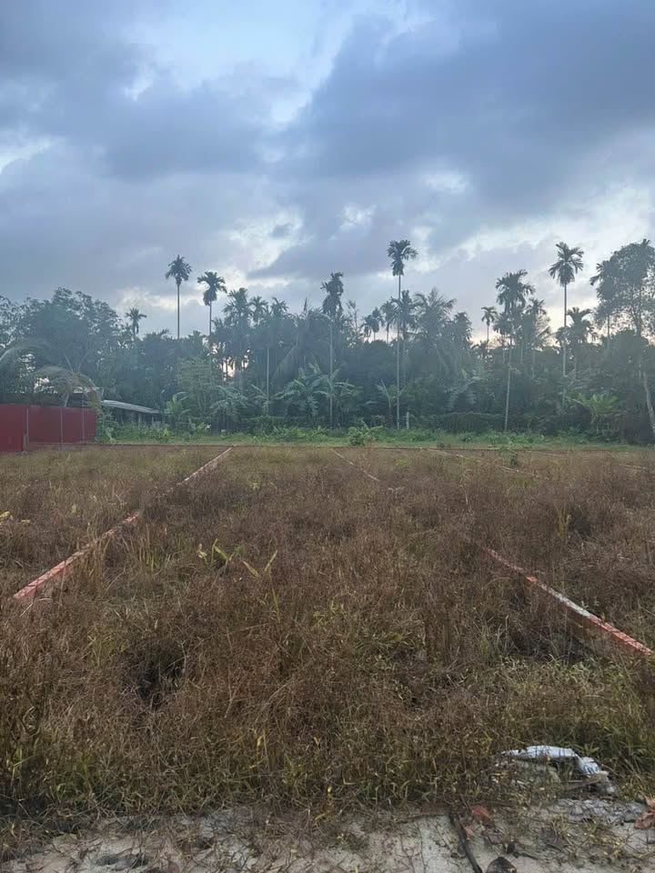 Đất nền Bình Nhâm, Thuận An 100m² giá 1.9 tỷ - Tiềm năng sinh lời cao!