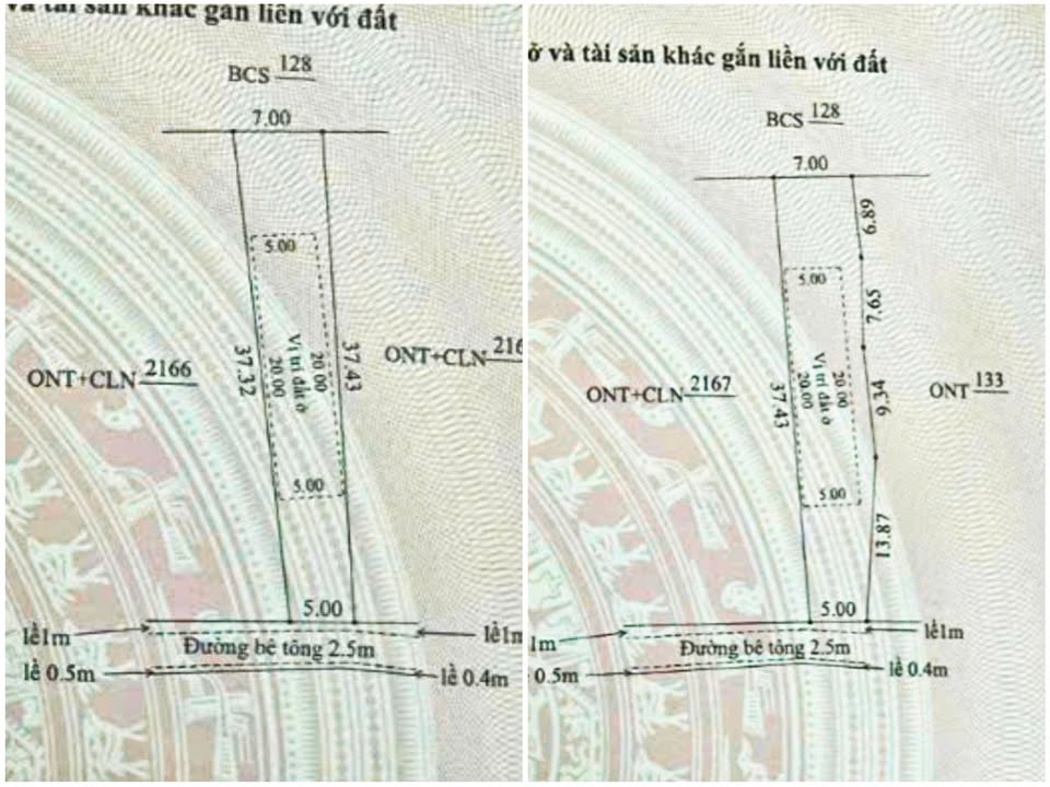 Đất nền Đại Hồng 250m² giá 300 triệu - Nở hậu, sổ đỏ chính chủ!