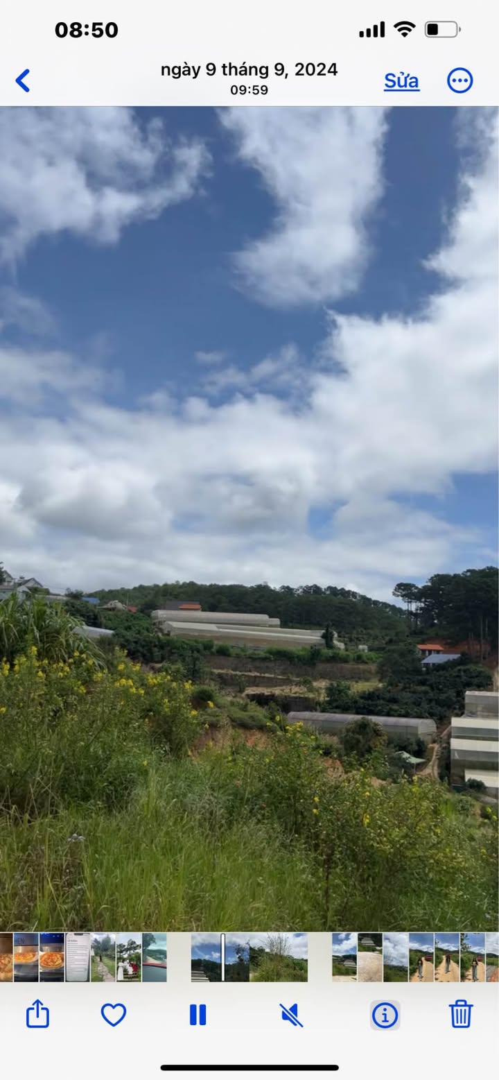 Đất nền Xuân Trường Đà Lạt 3600m² giá 4.5 tỷ - Đường ô tô vào tận đất!